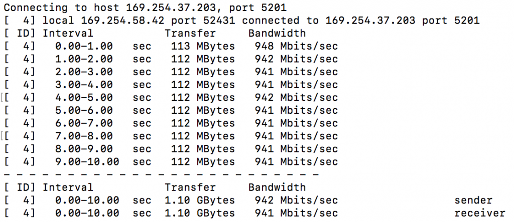 iPerf results showing gigabit speeds